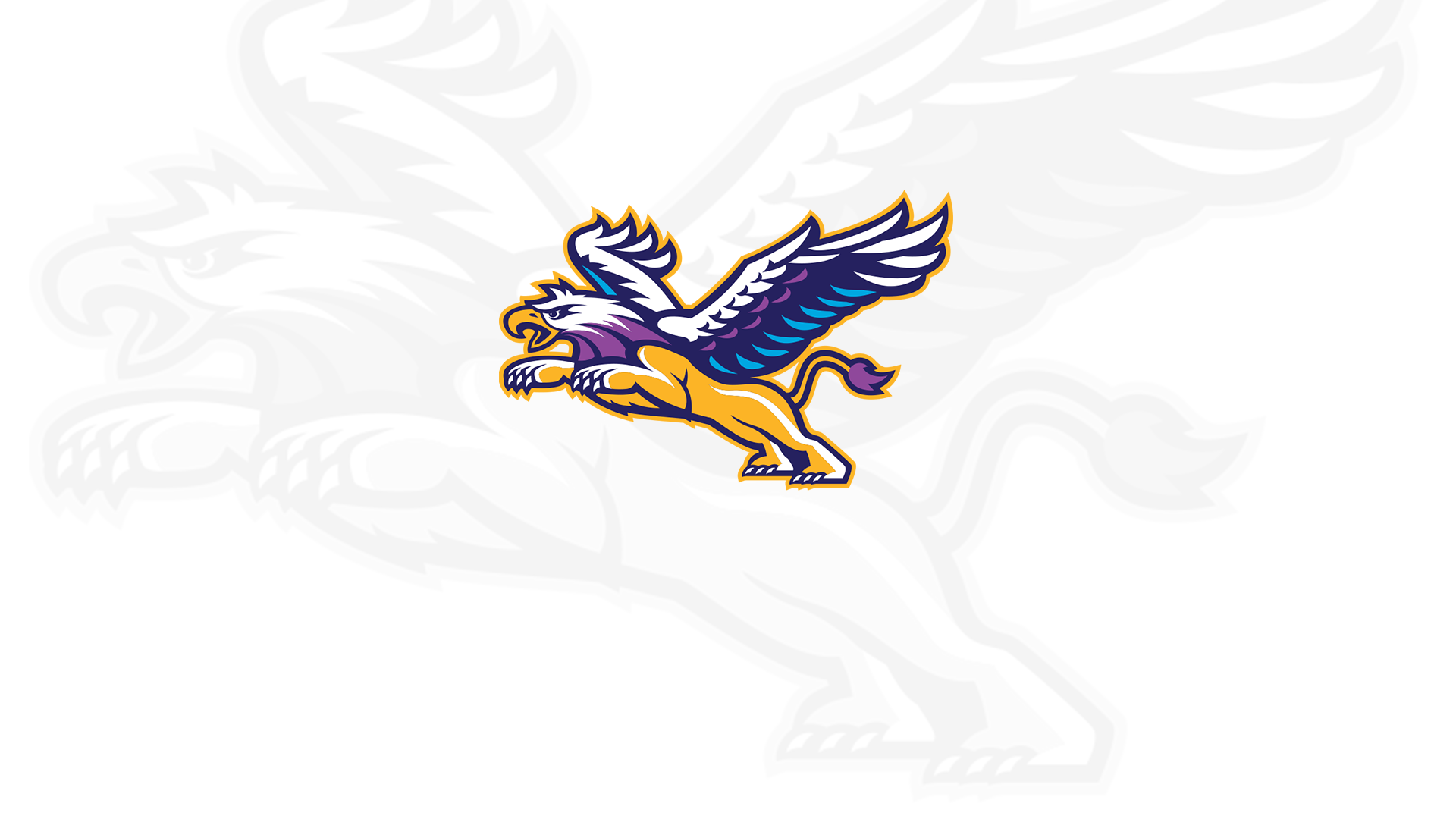 Fontbonne earns #5 seed in NCAA Regional